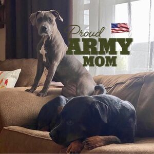 Meet your Posher, Desiree